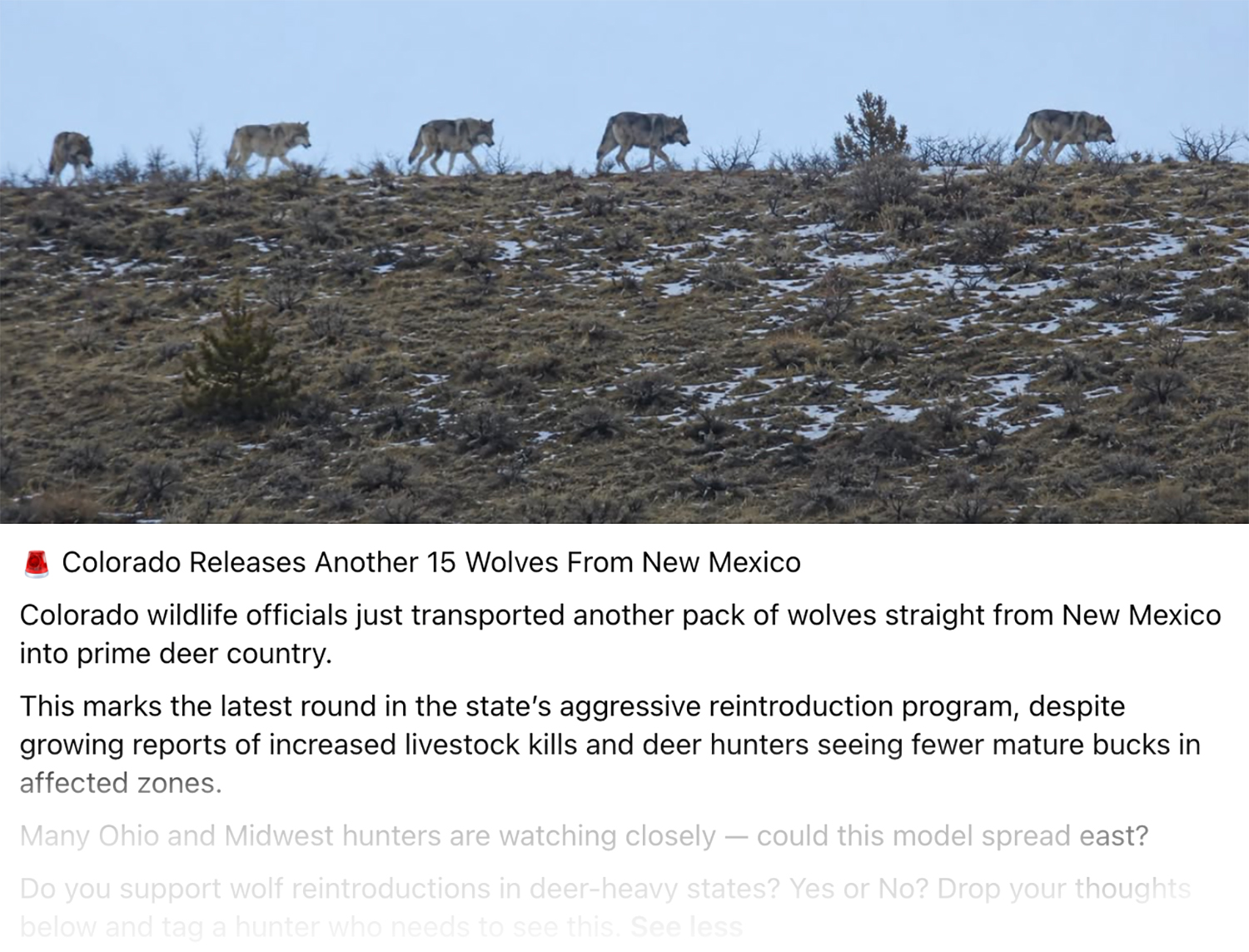 Social Media post of a fake wolf transport story